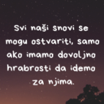 Slika profila amilica